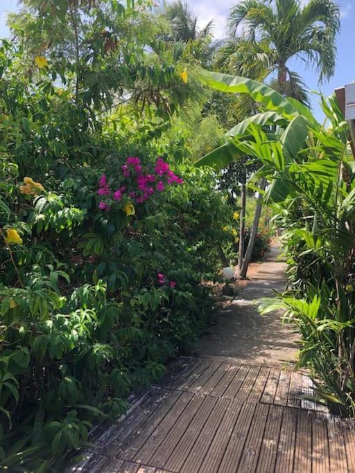 Secteur Prise, Bungalow Corail, Residence Casa Boubou Sainte-Anne  Dış mekan fotoğraf