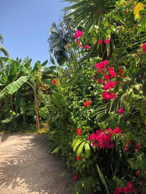 Secteur Prise, Bungalow Corail, Residence Casa Boubou Sainte-Anne  Dış mekan fotoğraf